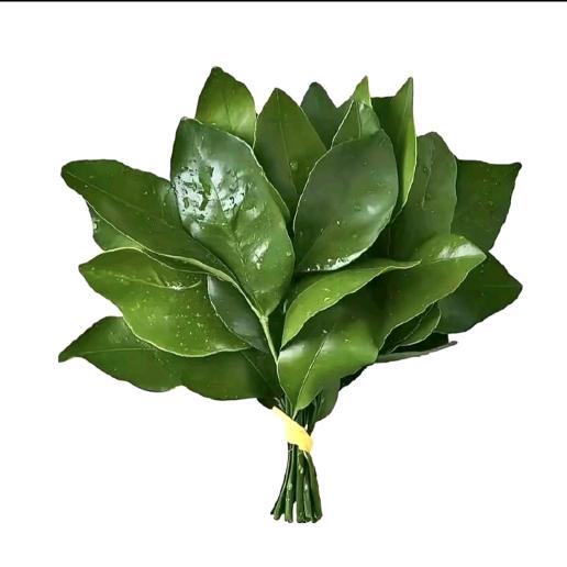 🦋茶壶盖绝世二好