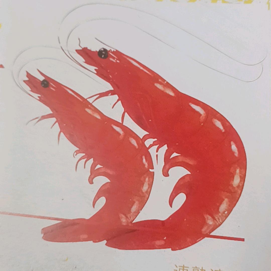 楠木