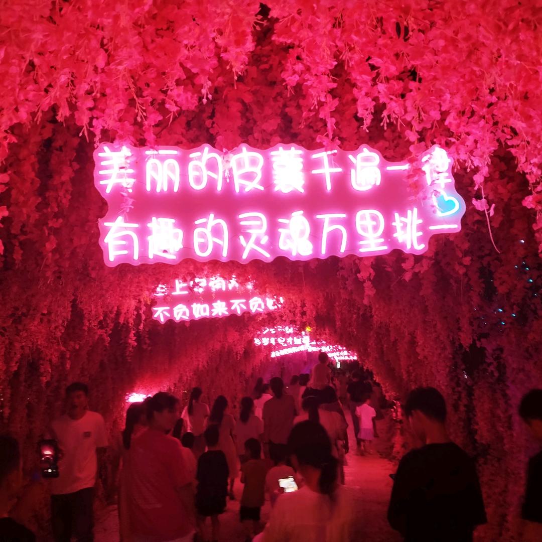 黑色生命力