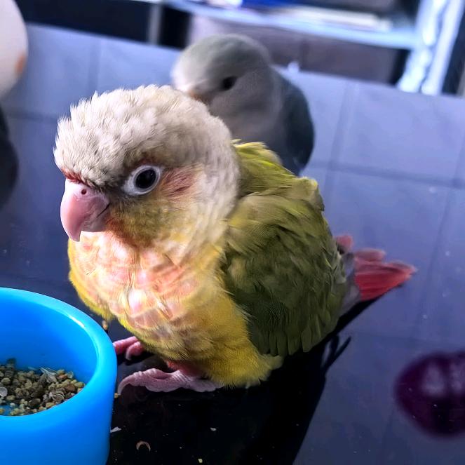 💞ℒᎭℯ⃝甜甜圈💕⁵²º࿐