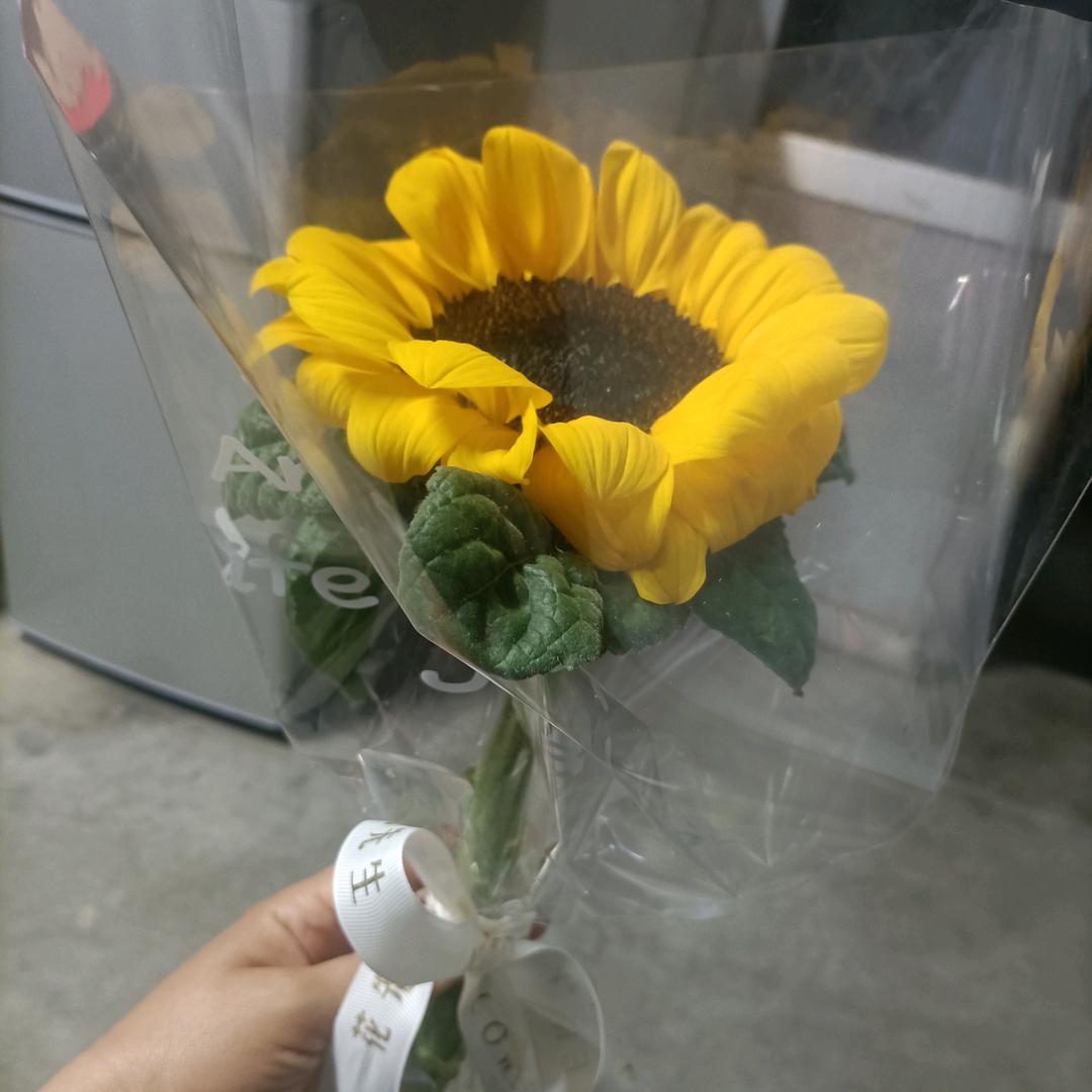 暖阳漫舞