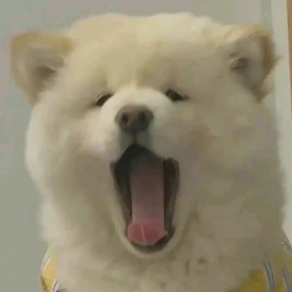 冬天❄️