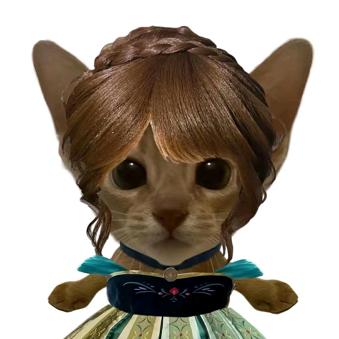 慧慧控