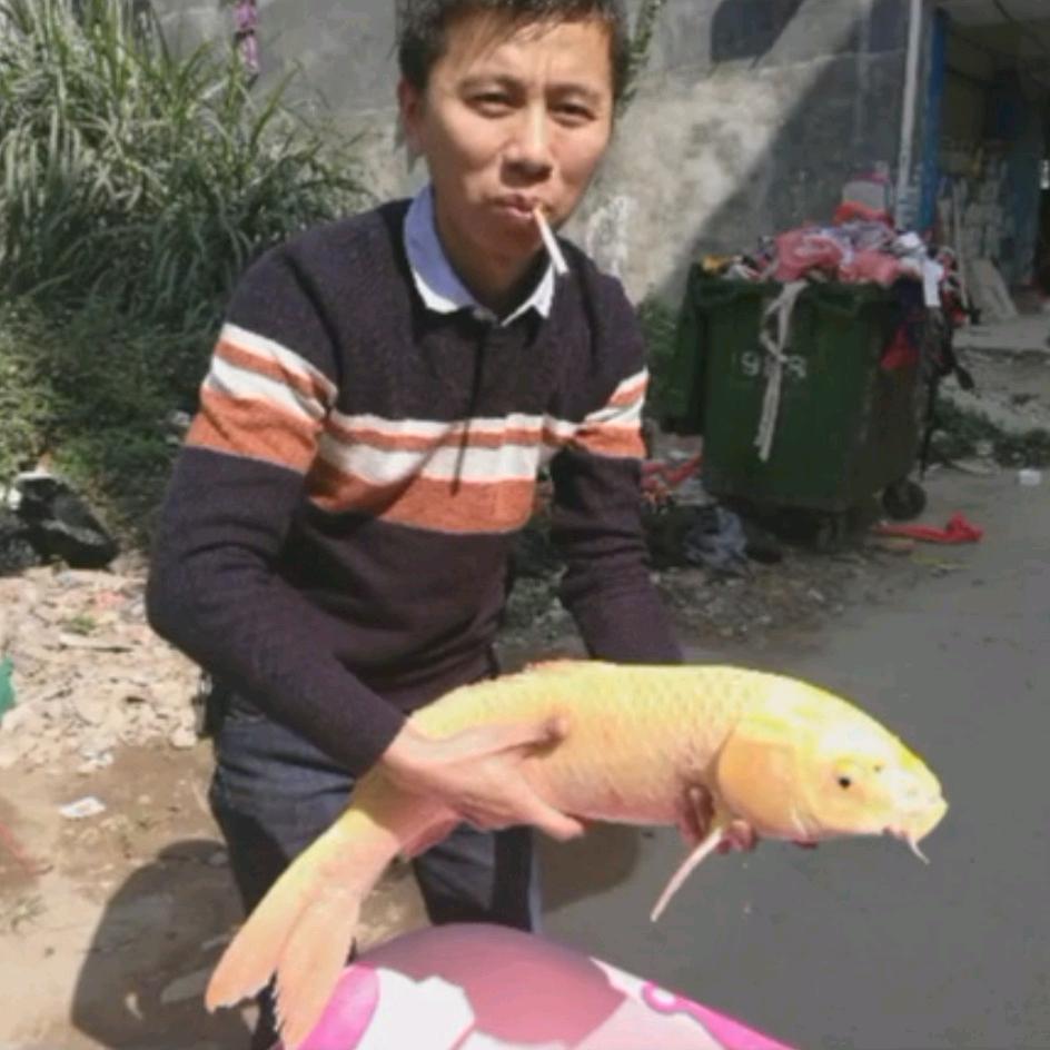阿魁哥
