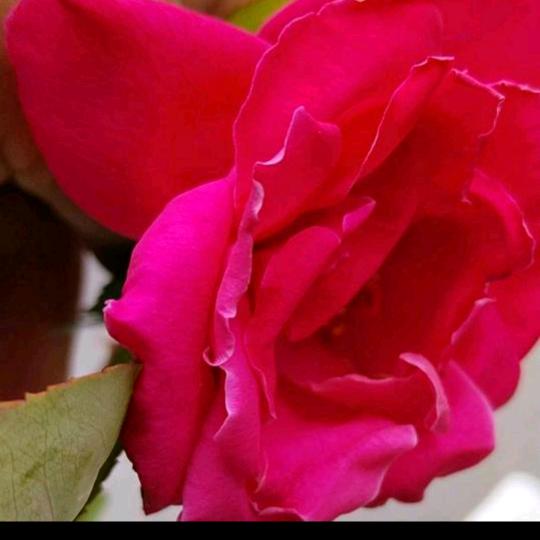 欣宇，欣悦宝贝