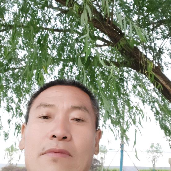 真诚哥，早上五点五分