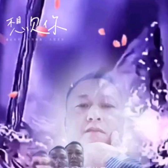 杨队