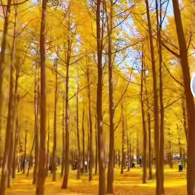 用户123361996随遇而安