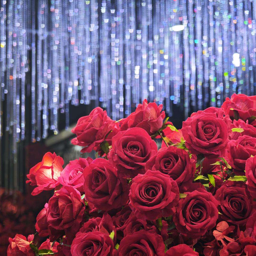 🌸美好生活🌸