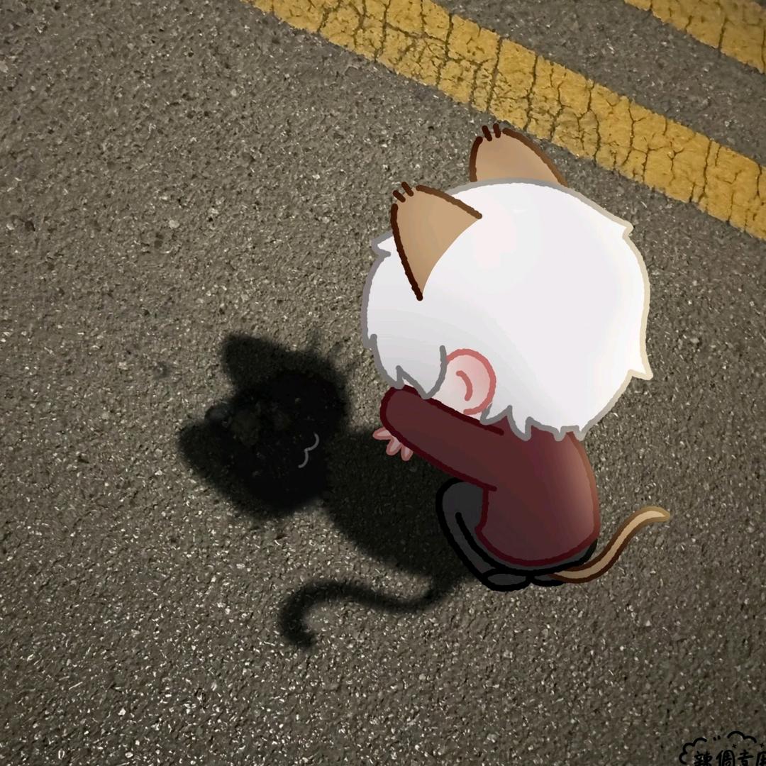 菲菲（没流量发疯版）