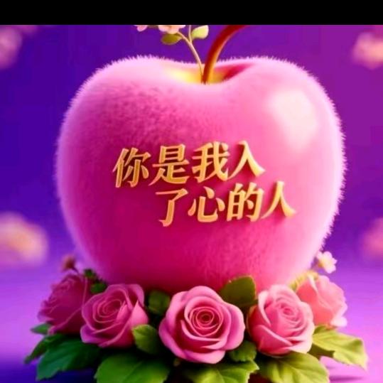 南无阿弥陀佛❤️百善孝为先❤️❤️❤️❤