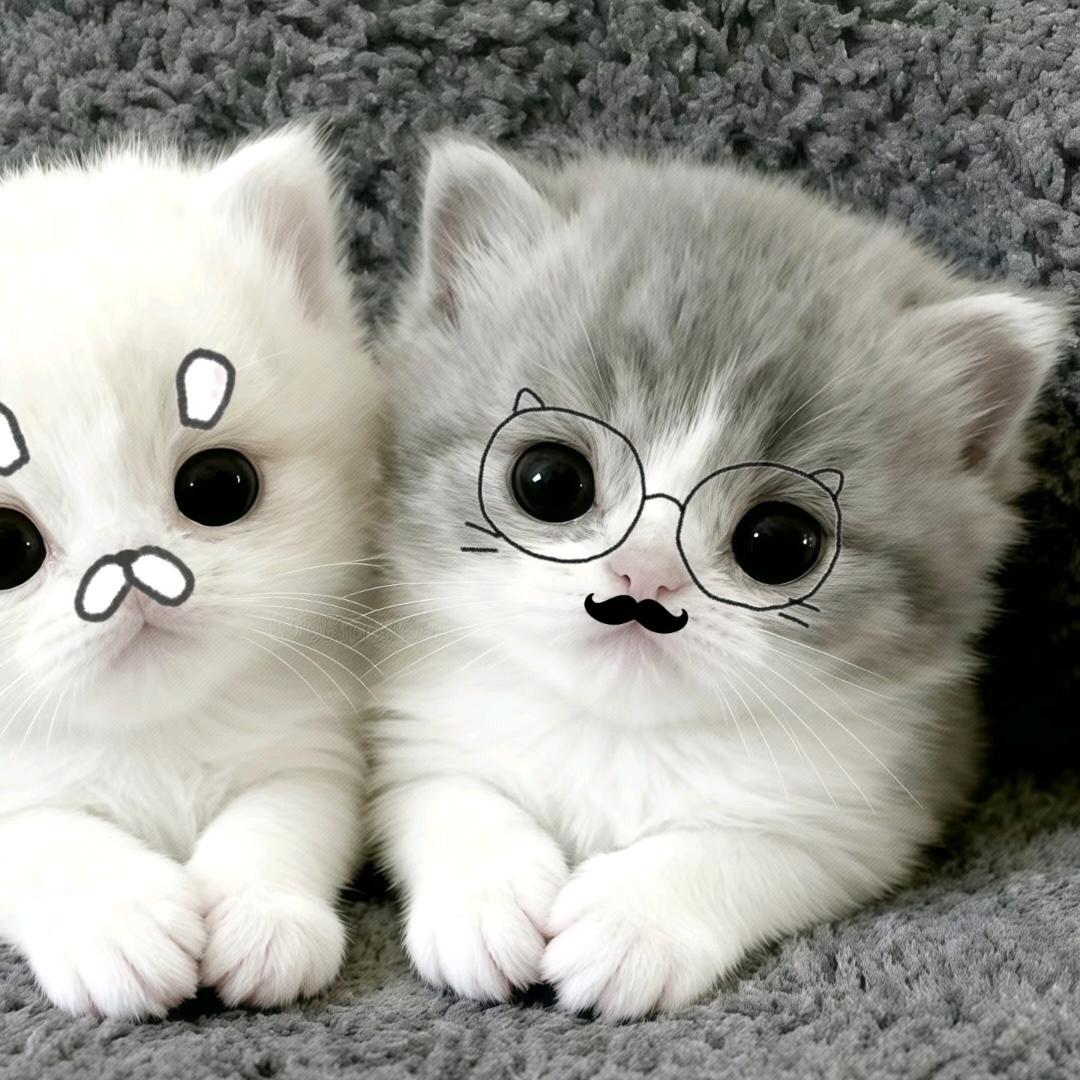 3566