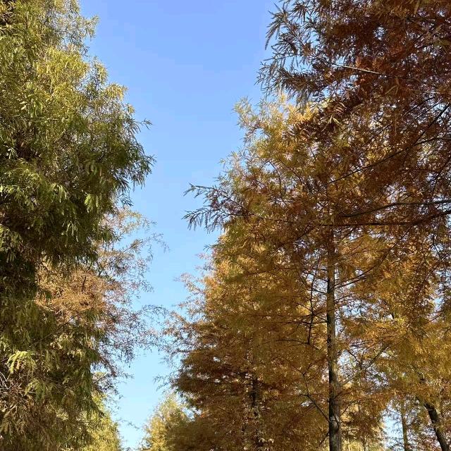 春赏百花冬观雪