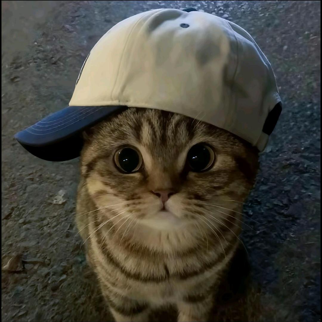 既要又要