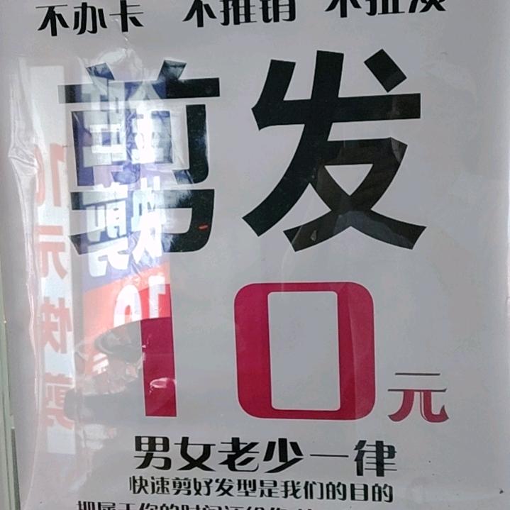 紫色东