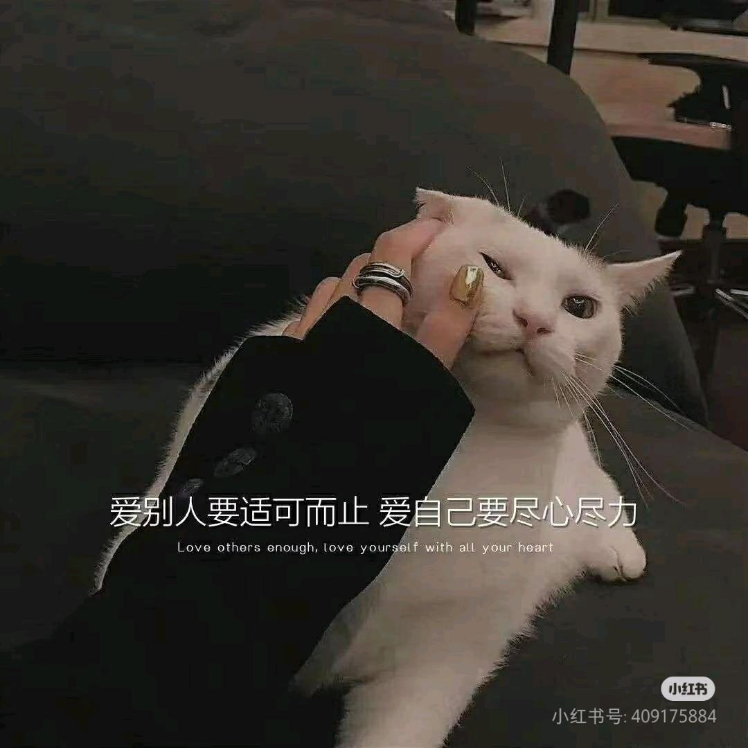 追忆往昔（橱窗有好物）