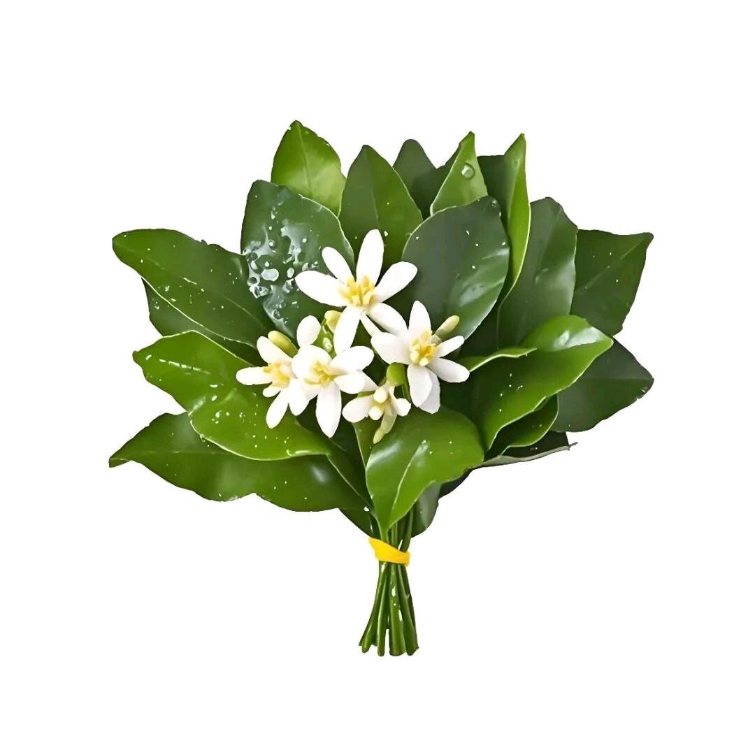 林黛玉醉打蒋门神