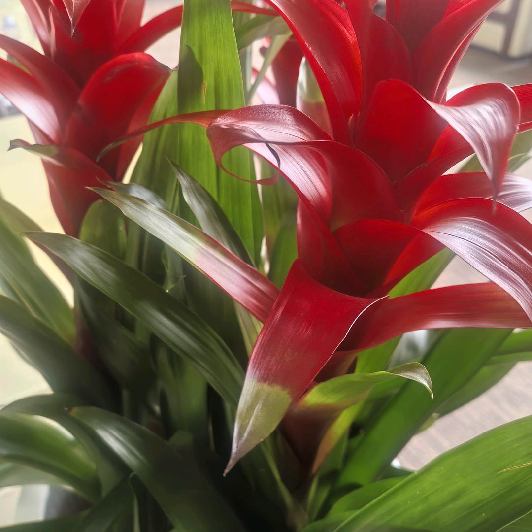 看不透的是人心❤