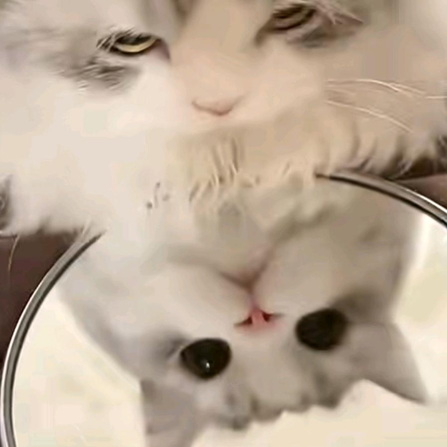 ℐۣۖิ