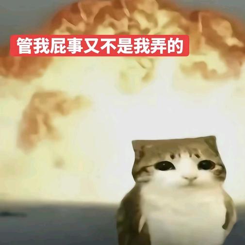碳水没了你我还能爱谁
