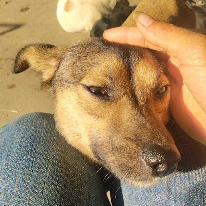 张小兔🐰🌹🌻