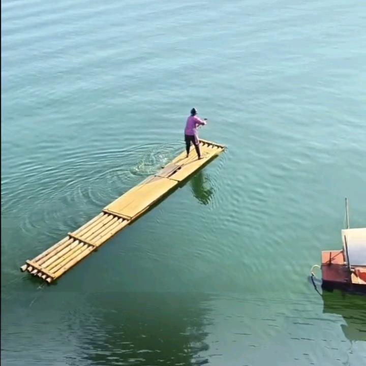 会飞的鱼