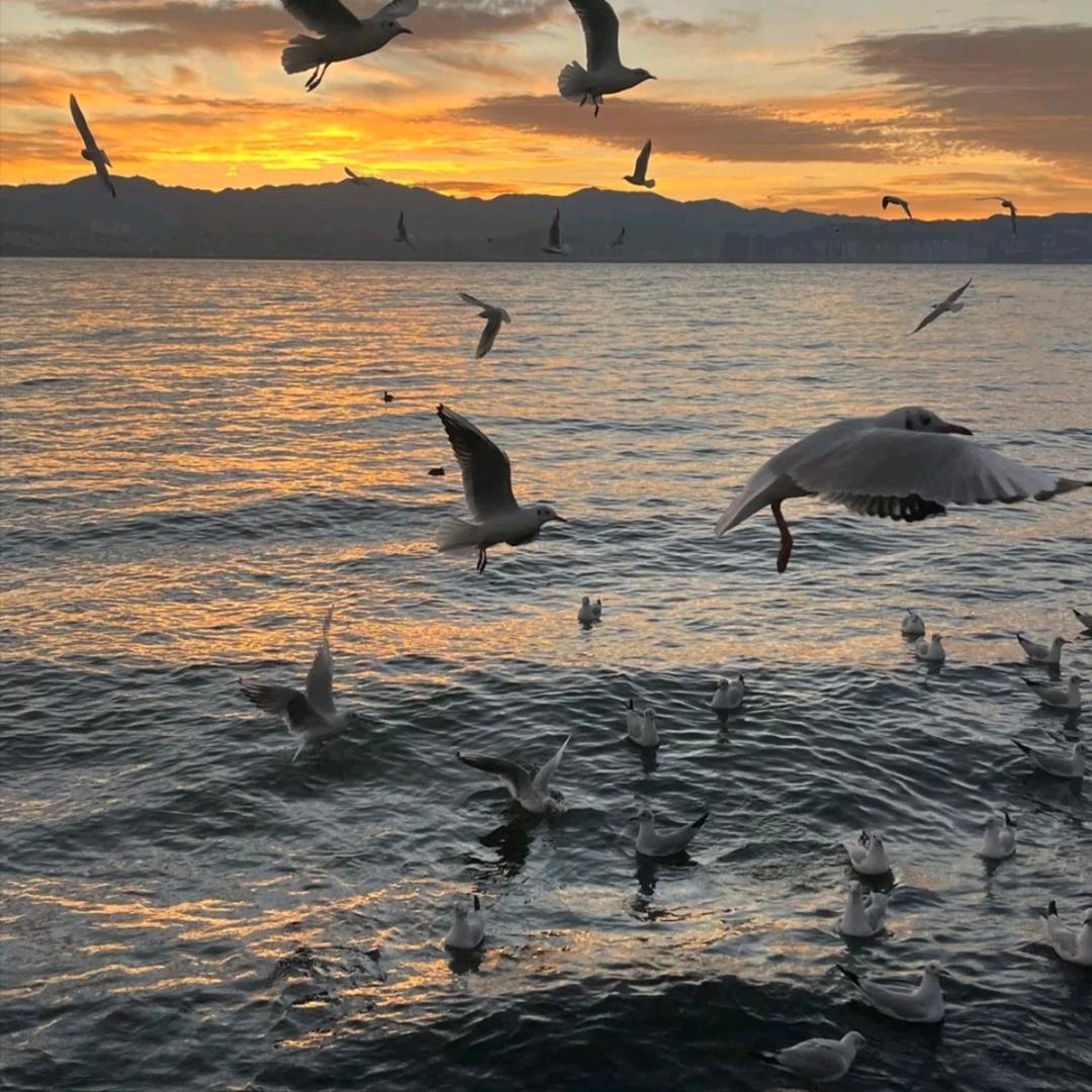 成名曲