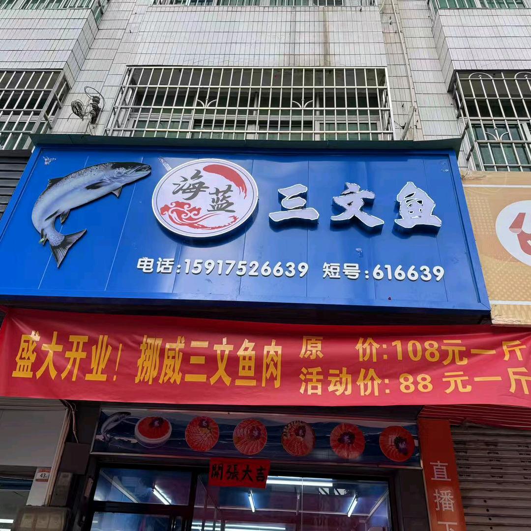 海蓝三文鱼🍣🐬