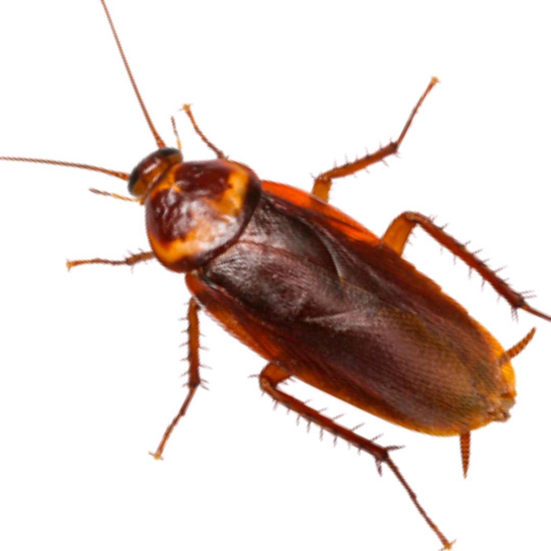 158