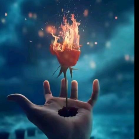 呈信木业（曾先生）