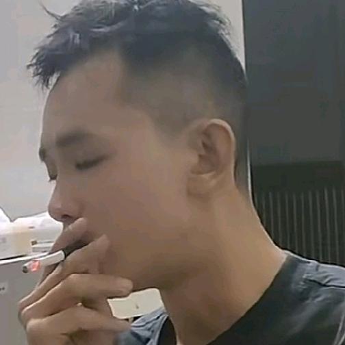 雄猫