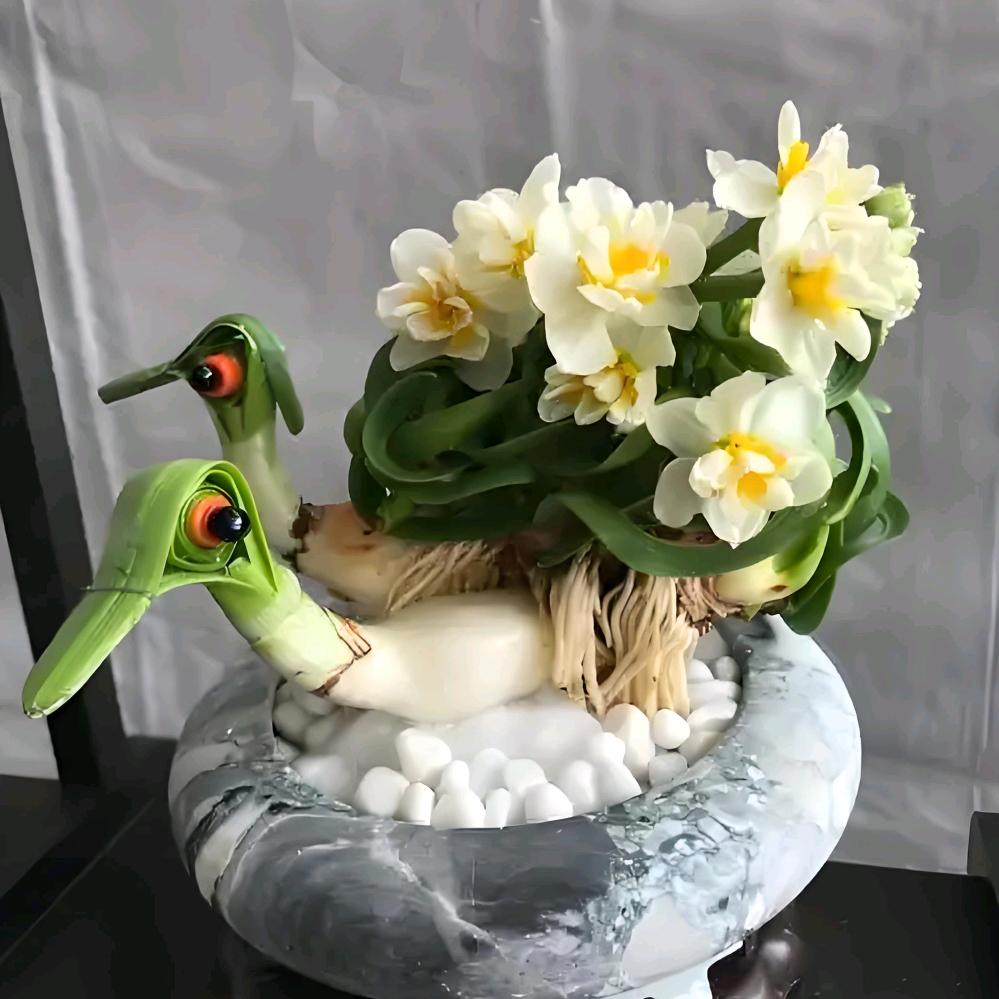 鑫瑞水仙花