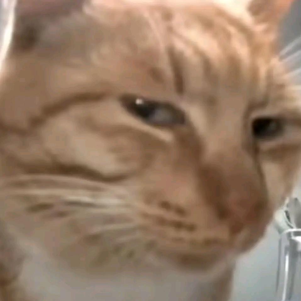 悦韵（崩坏：星穹铁道）