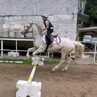 宏昌国际马术俱乐部      骓天下🐴