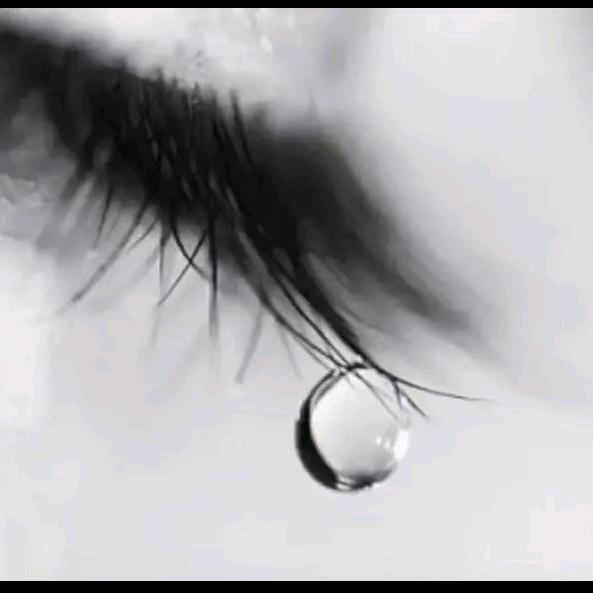 LᎭℯ⃝小不点