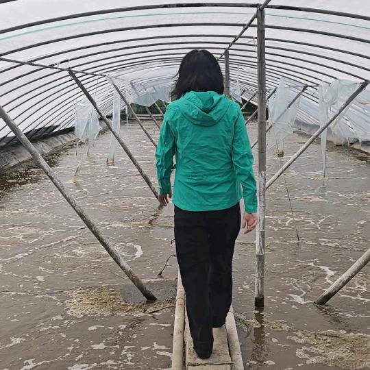 养虾的美少女战士