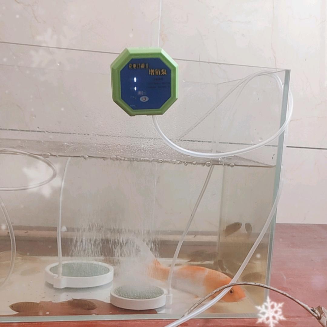 超雄臻选坊