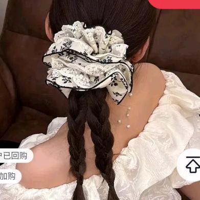 小燕儿