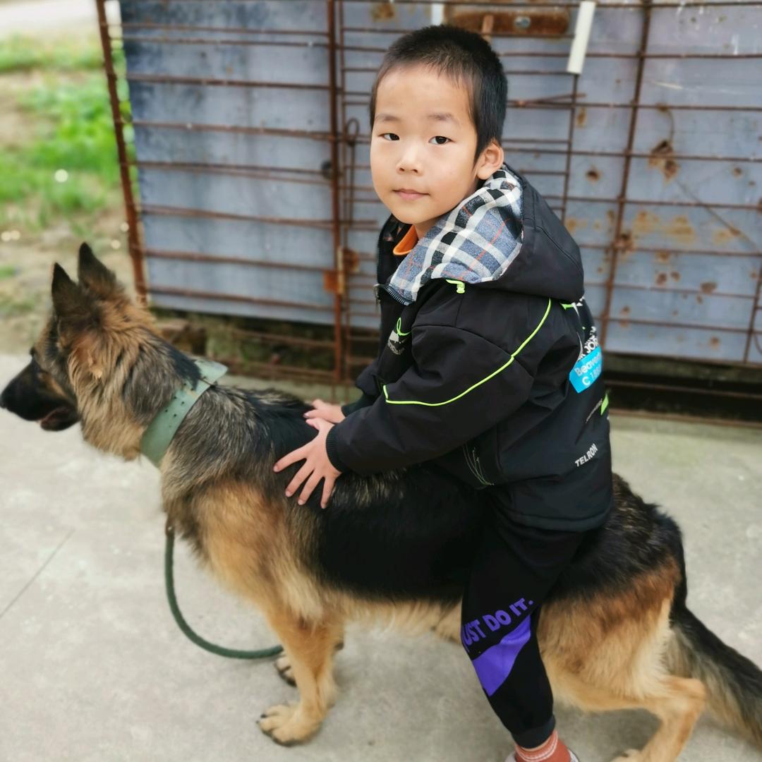 朱礼祥