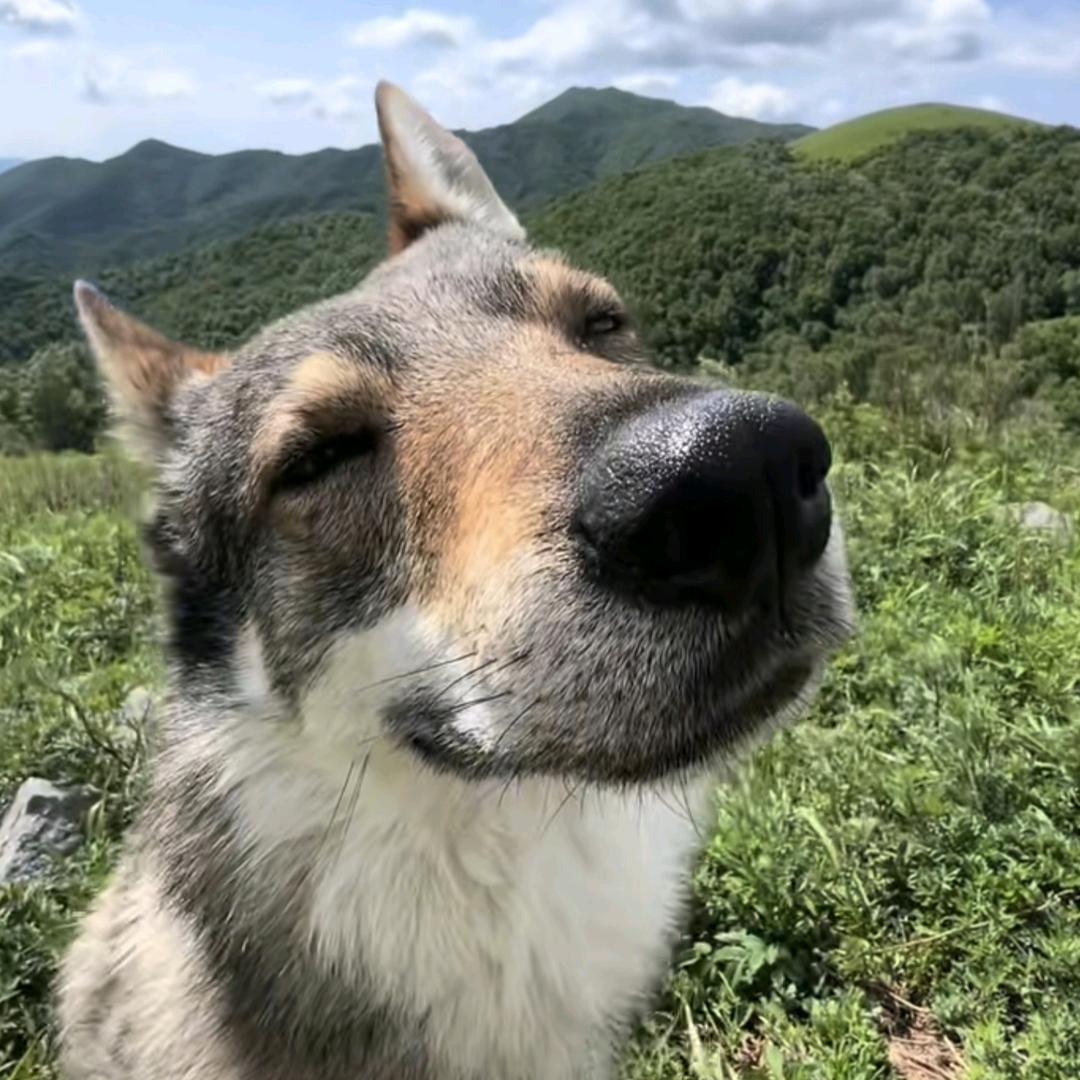 .天青色