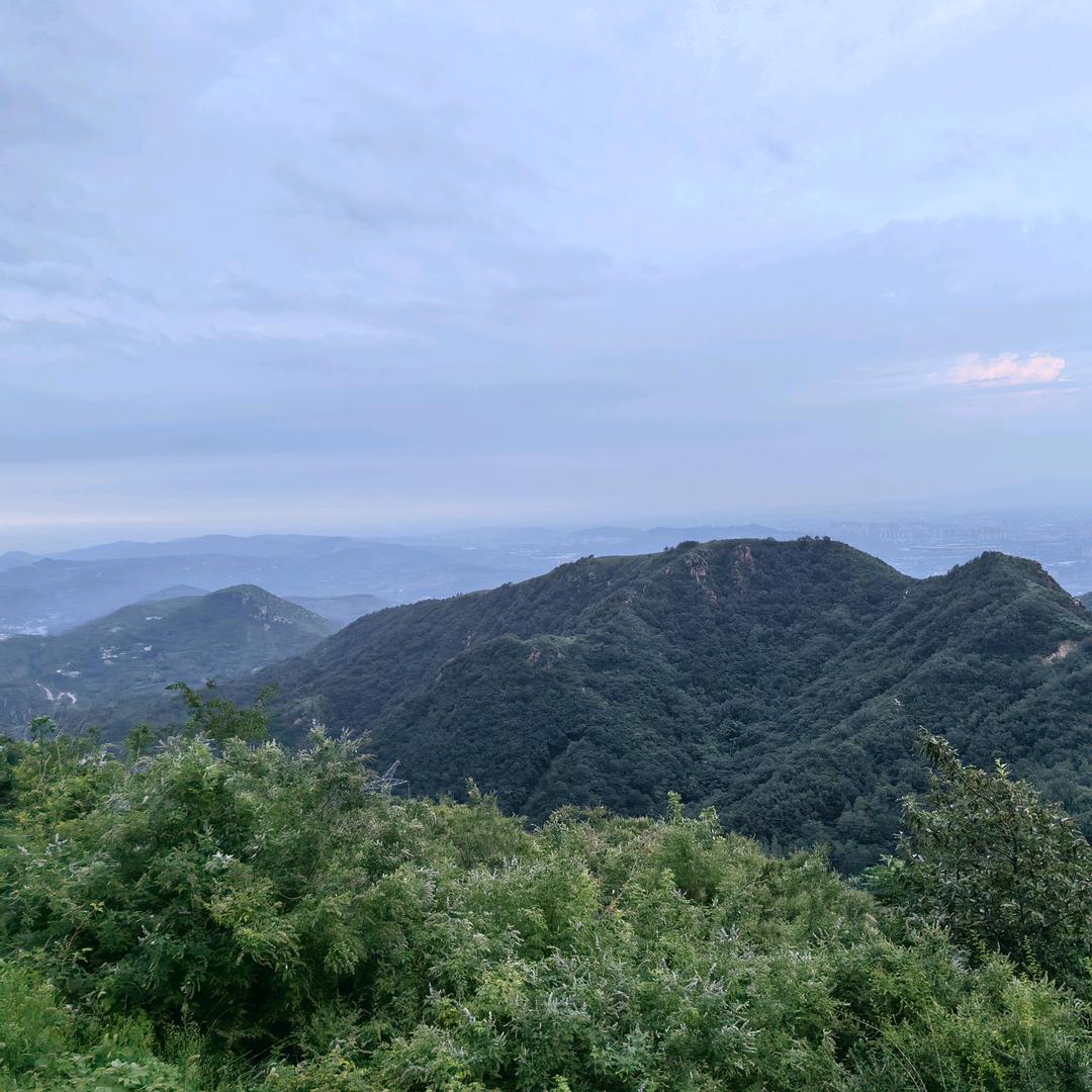 小果冻
