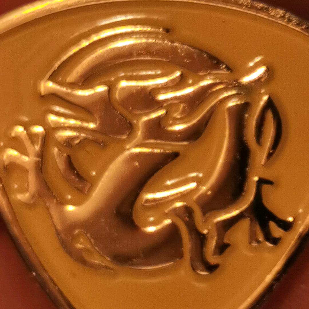 金金金龙298