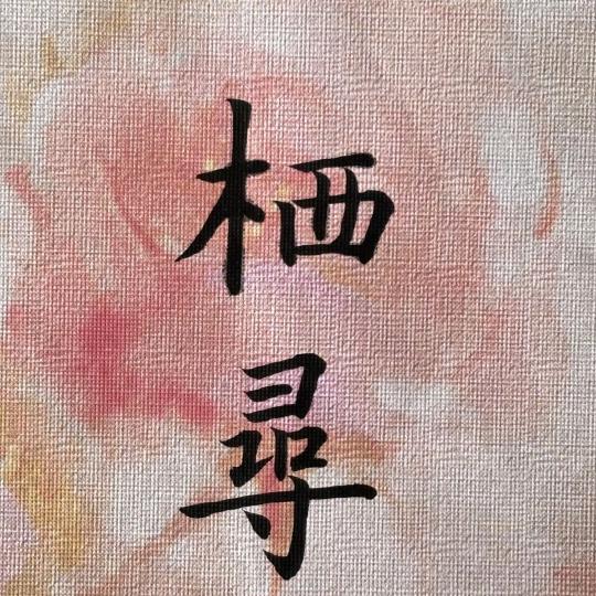 栖寻