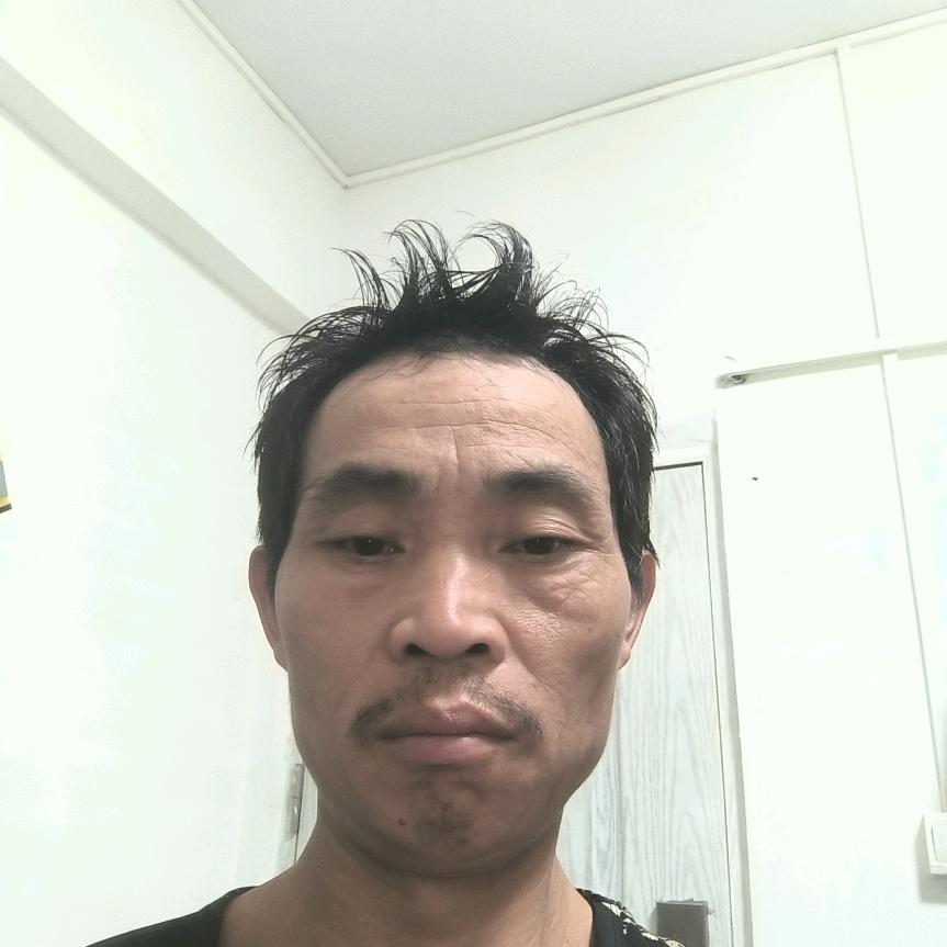 卜建红17772361484