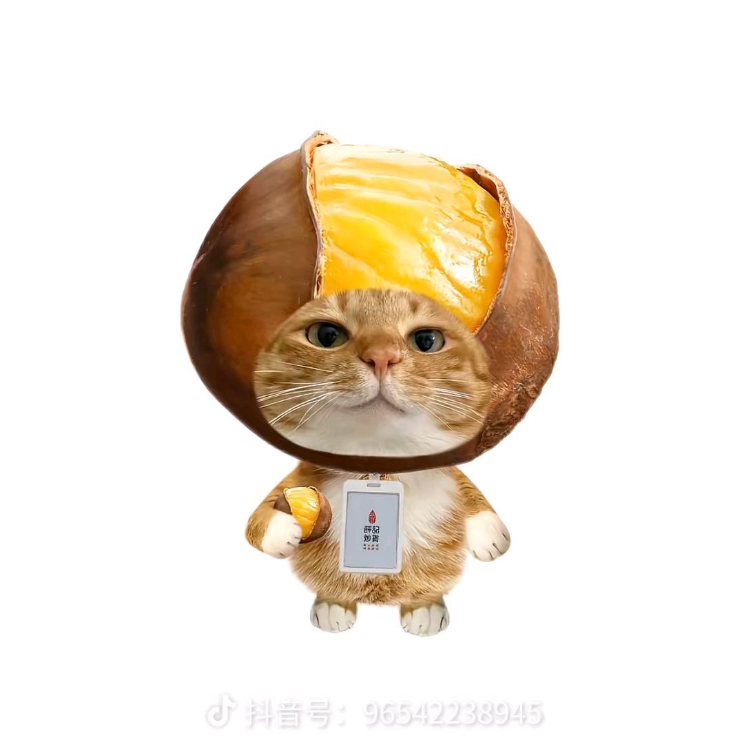 老人没头✌︎( ᐛ )✌︎