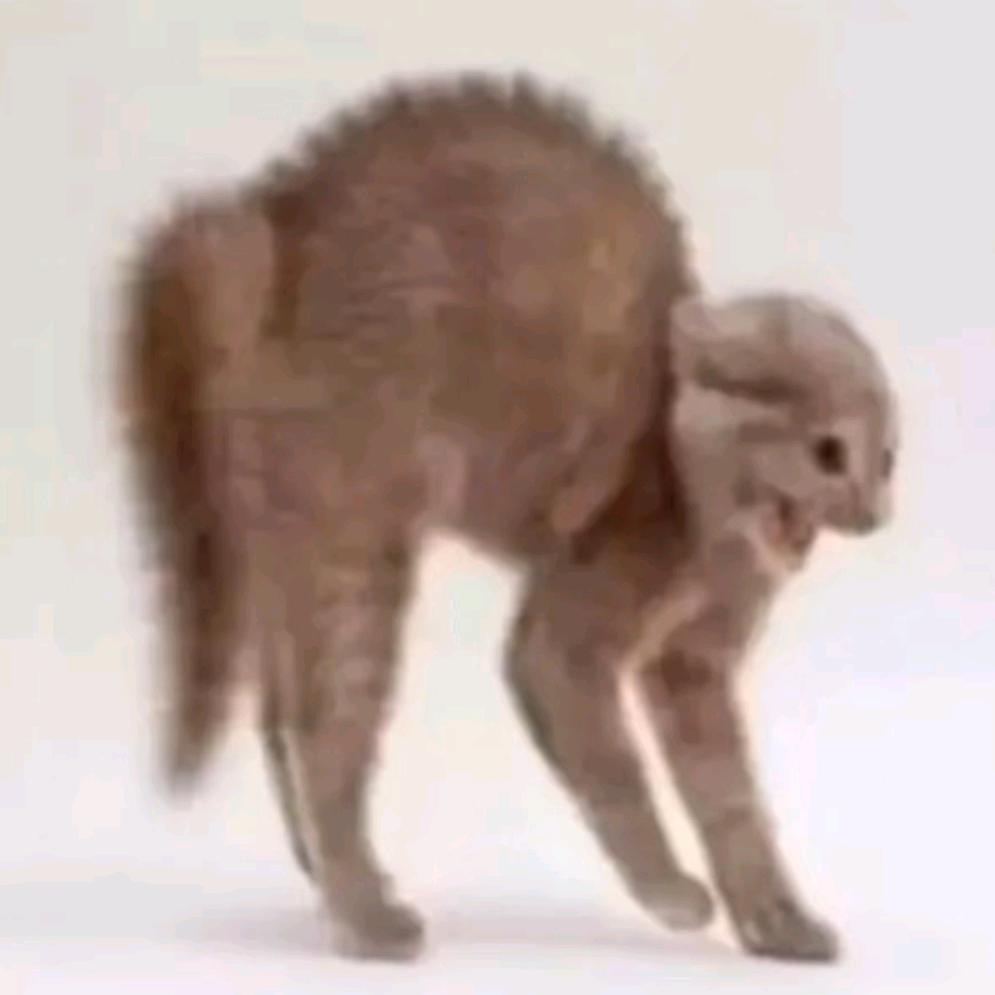 京都念慈菴蜜炼川贝枇杷