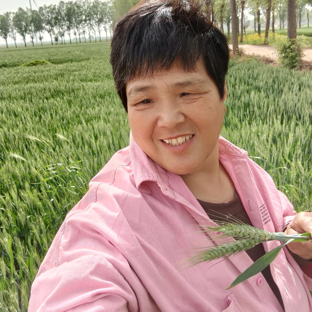 凤姐