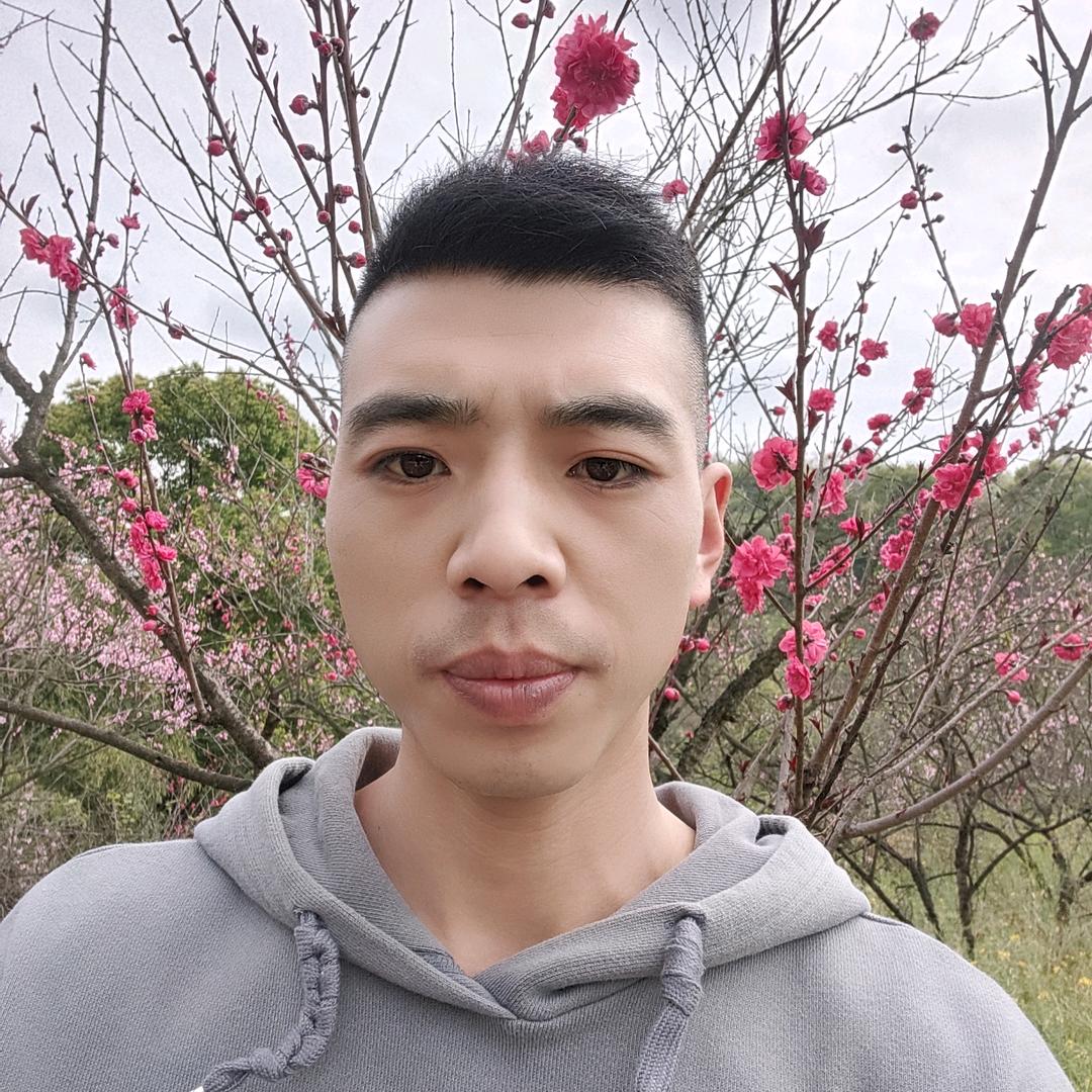 李二娃