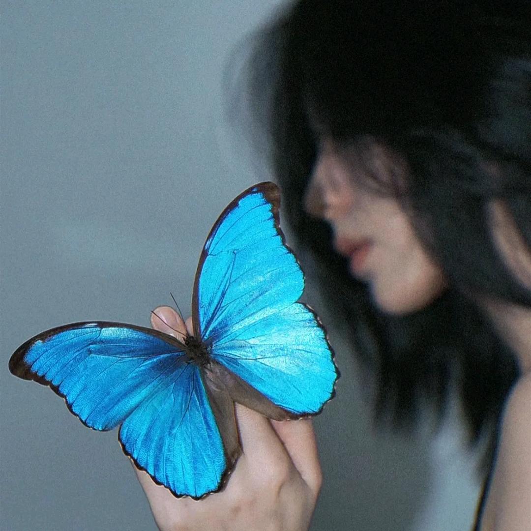 大福蝶🦋
