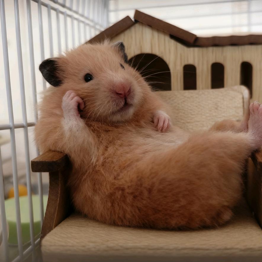 橘子🍊🍊🍊🍊